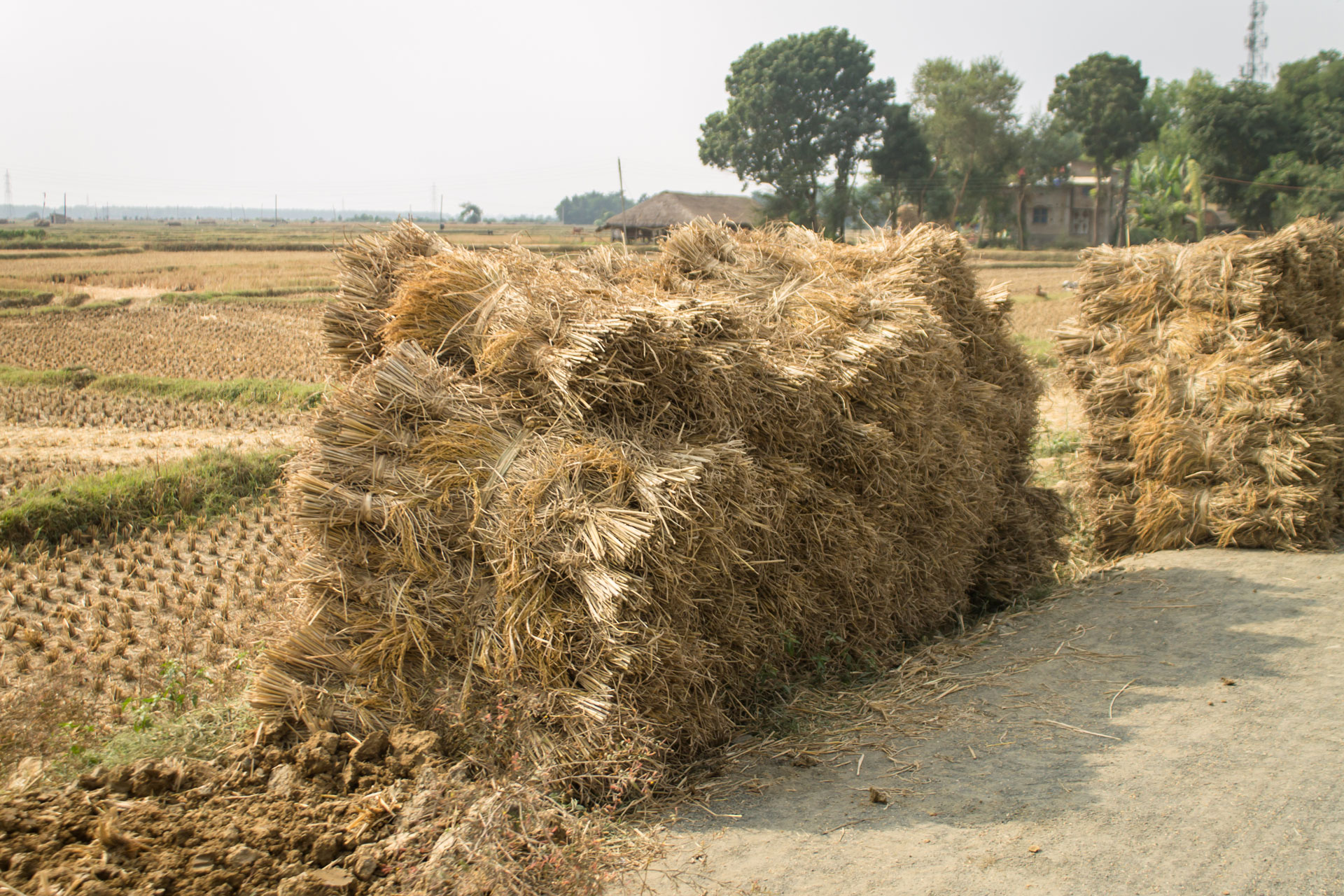 Valorizing Agriculture Wastes - Microbial Innovations