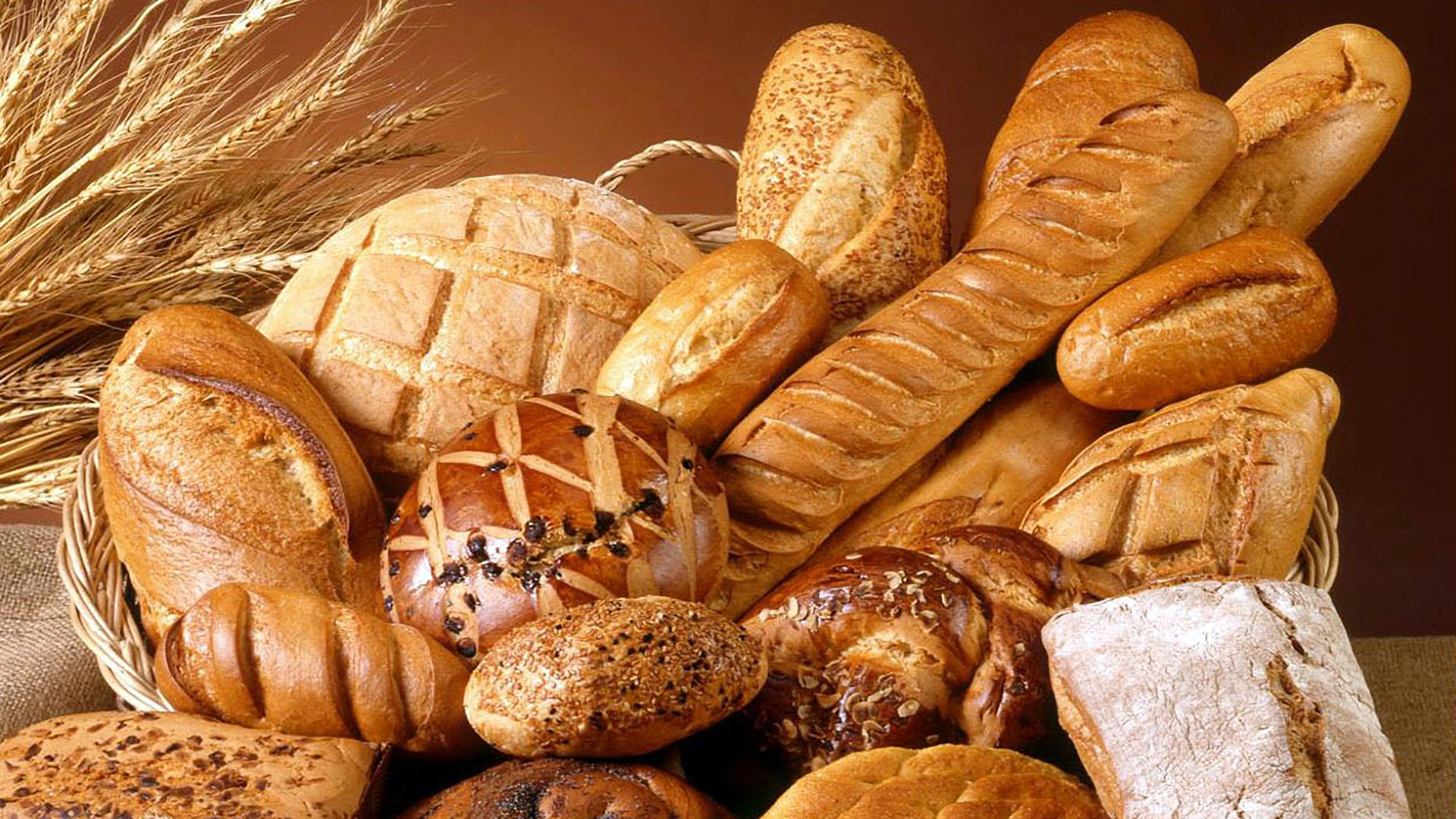 Assorted breads, rolls and baguettes in a basket beside ears of wheat